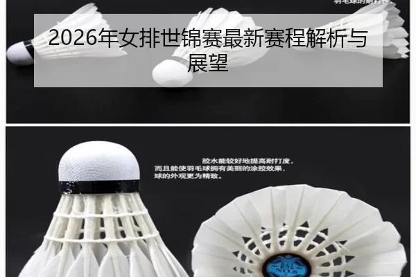 2026年女排世锦赛最新赛程解析与展望